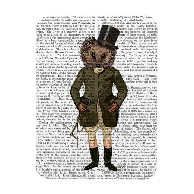 Imán Hedgehog Rider lleno (Vertical)