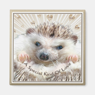 Imán hedgehog tipo especial de amor