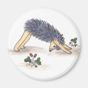 Imán Hedgehog Yoga