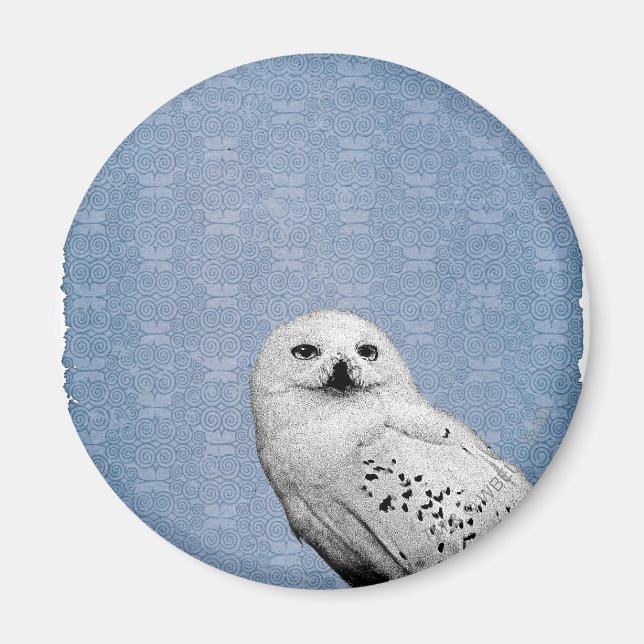 Imán Hedwig 2 (Frente)