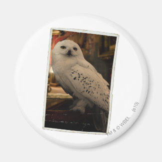 Imán Hedwig 3