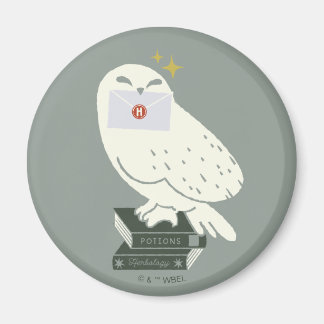 Imán Hedwig con carta Dibujo caprichoso