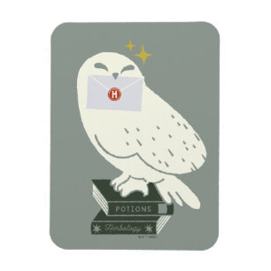 Imán Hedwig con carta Dibujo caprichoso