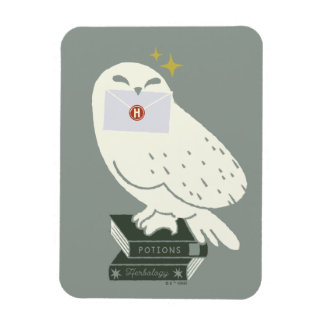 Imán Hedwig con carta Dibujo caprichoso