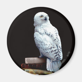 Imán Hedwig en libros