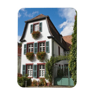 Imán Heidelberg, Alemania