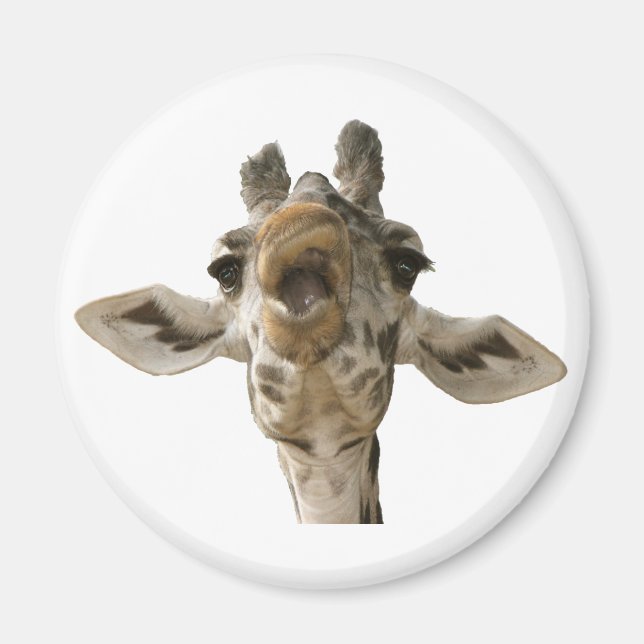 Imán Helaine's Goofy Giraffe (Frente)