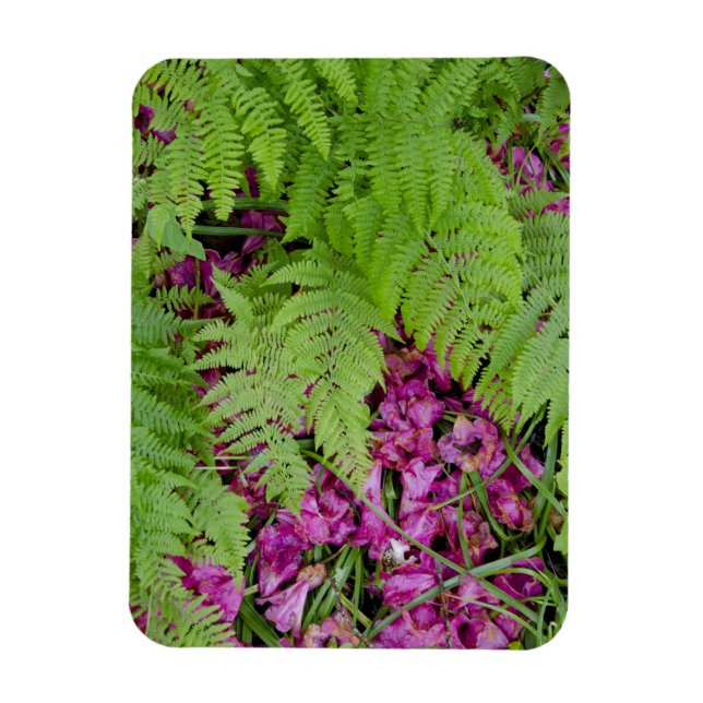 Imán Helechos del bosque con pétalos de flores rosas en (Vertical)