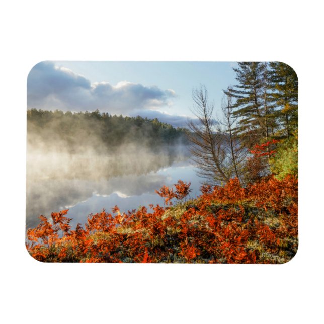 Imán Helechos en la orilla | Paradise, Michigan (Horizontal)