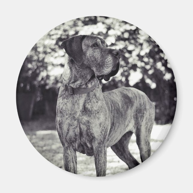 Imán Helia (Frente)