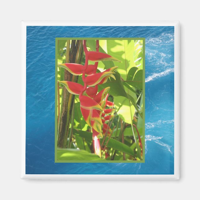 Imán Heliconia rostrata (Frente)