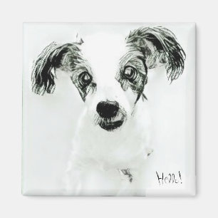 Imán Hello Cute Dog Magnet