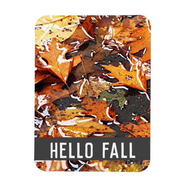 Imán Hello Fall Rainy Leaves (Vertical)