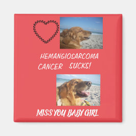 Imán Hemangiosarcoma Mascota Pérdida Keepsake