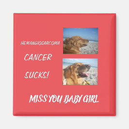 Imán Hemangiosarcoma Sensibilización - Mascota Personal