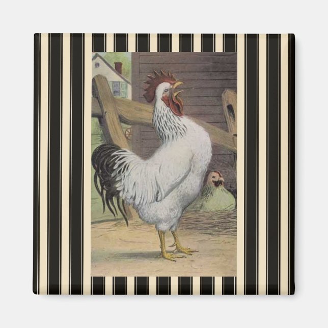 Imán Hen Fridge Magnet (Frente)