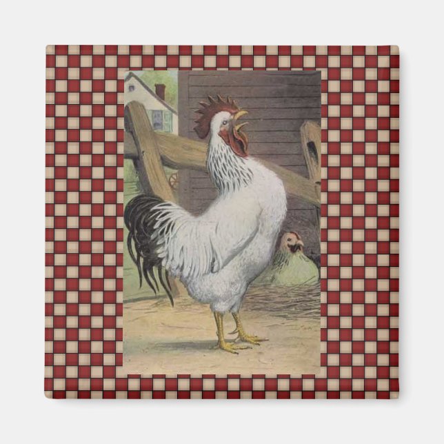 Imán Hen Fridge Magnet (Frente)