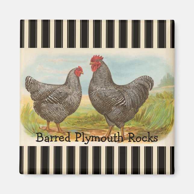 Imán Hen Poultry Fridge Magnet (Frente)