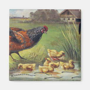 Imán Hen y Ducklings