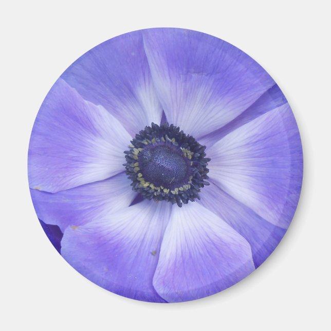 Imán Henrietta (Frente)