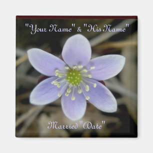 Imán Hepatica Boda Rememberance Magnet