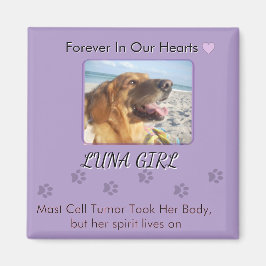 Imán Her Spirit Stays Close to Home