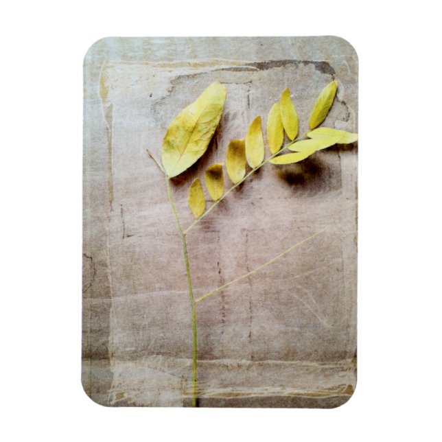 Imán Herbario V (Vertical)