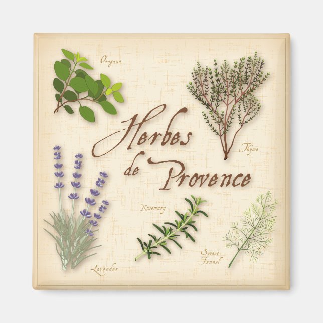 Imán Herbes de Provence Magnet (Frente)