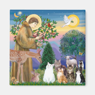 Imán Hermana Frances Blessing 5 gatos