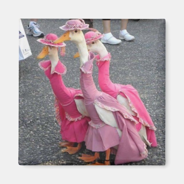 Imán Hermanas de Goose Magnet (Frente)