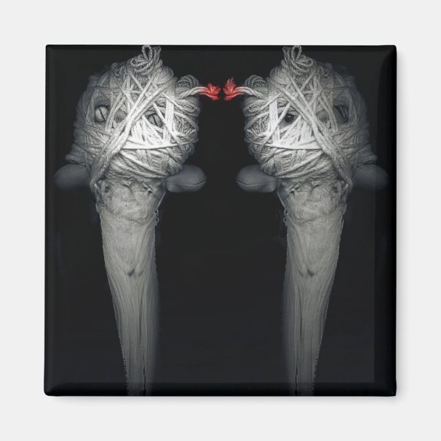 Imán Hermanos 2013 (Frente)