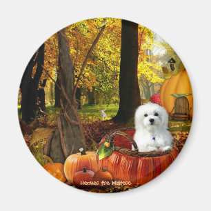 Imán Hermes de Malta