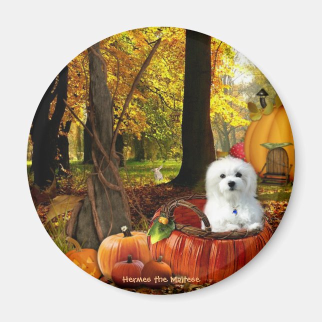 Imán Hermes de Malta (Frente)