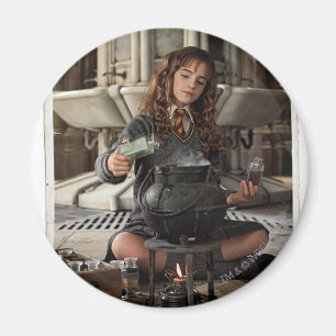 Imán Hermione 20