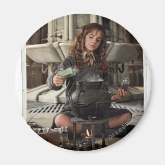 Imán Hermione 20