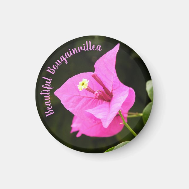 Imán Hermosa Bugambilia (Frente)