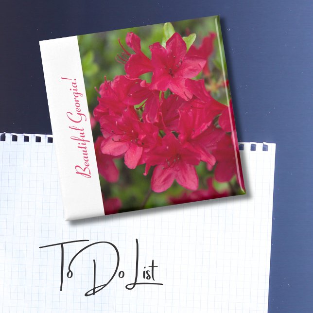 Imán Hermosa flor de Estado Georgia~ Azalea (Subido por el creador)