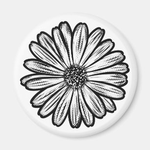 Imán Hermosa flor de margarita, Ilustracion de semitono