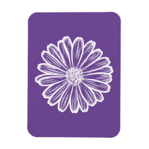 Imán Hermosa flor de margarita, Ilustracion de semitono