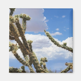 Imán Hermosa foto de Cactus en el desierto