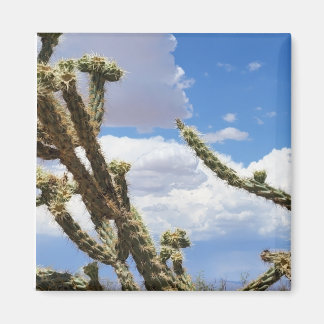Imán Hermosa foto de Cactus en el desierto