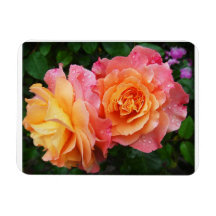 Hermosa foto de rosa rosa y naranja