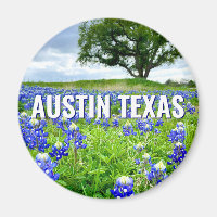 Hermosa Fotografía de Bluebonnets Austin Texas