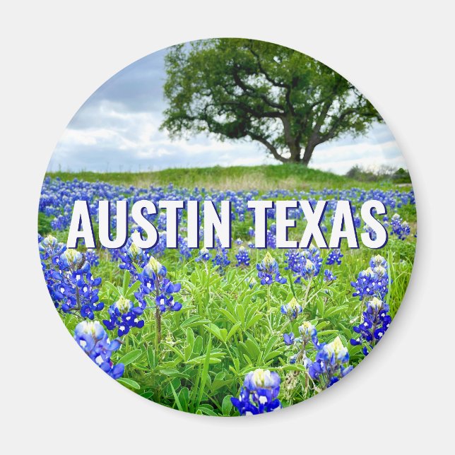 Imán Hermosa Fotografía de Bluebonnets Austin Texas (Frente)