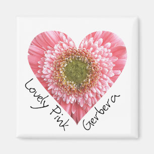 Imán Hermosa gerbera rosa - Forma cardíaca