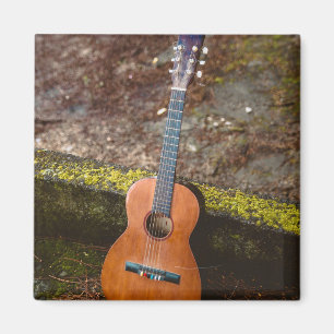 Imán Hermosa Guitarra Bass