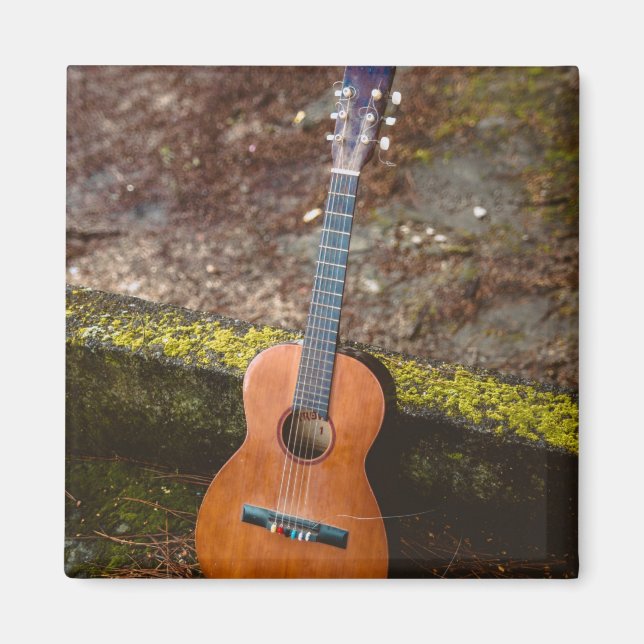 Imán Hermosa Guitarra Bass (Frente)