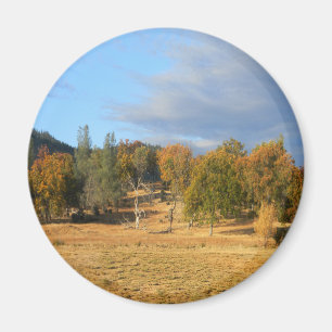 Imán Hermosa Hayfork, California......