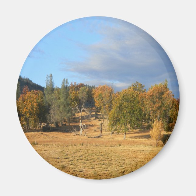 Imán Hermosa Hayfork, California...... (Frente)