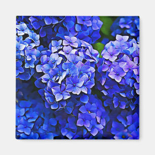 Imán Hermosa Hydrangea Azul Flores Magnet de Arte Flora